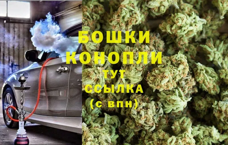 купить закладку  Аргун  Каннабис OG Kush 